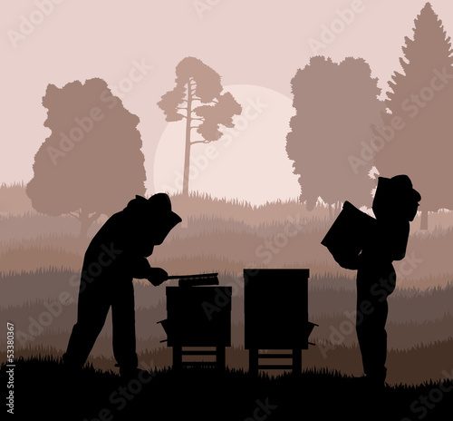 Beekeeper working in apiary vector background