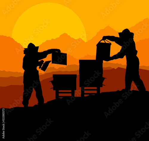 Beekeeper working in apiary vector background