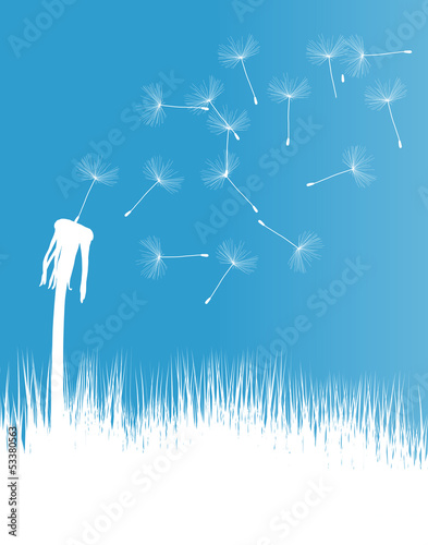 Dandelion blow vector background concept