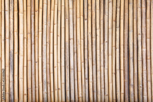 Bamboo fence