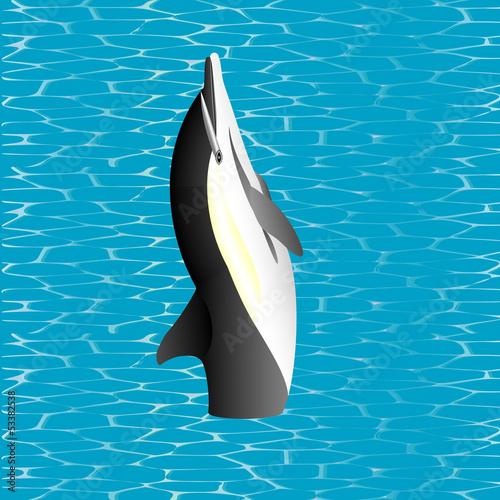Killer Whale jumping out from water