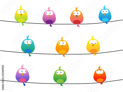 Colorful birds