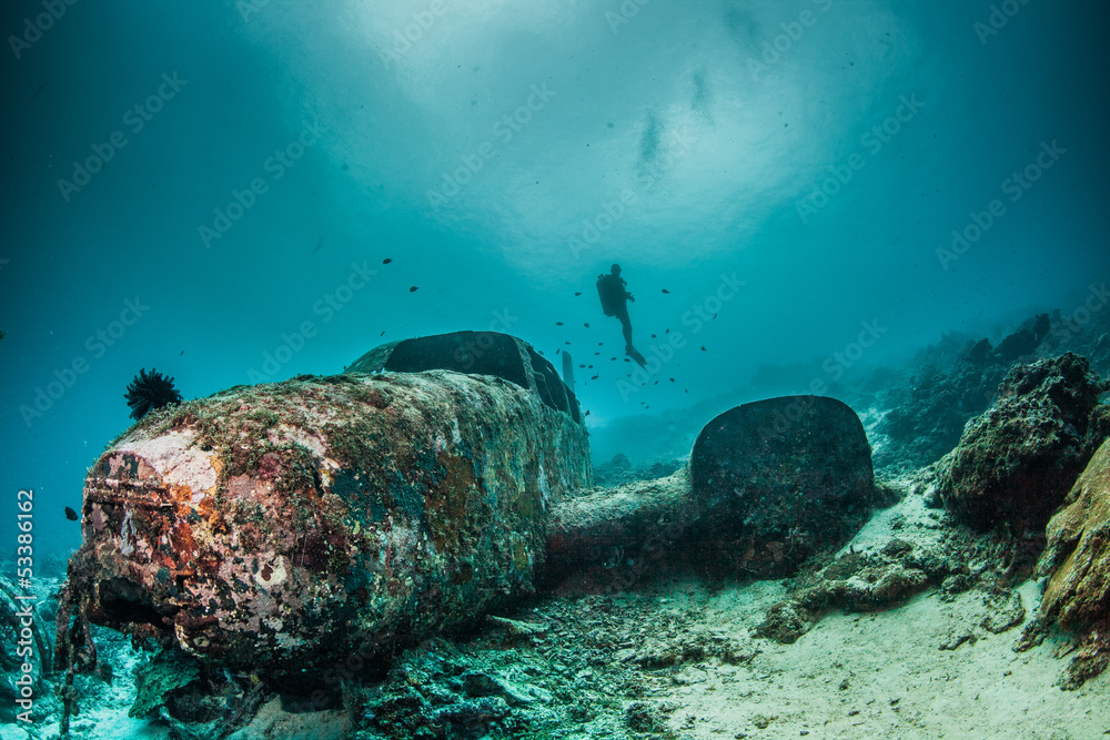 Naklejka premium Diver and underwater plane wreck