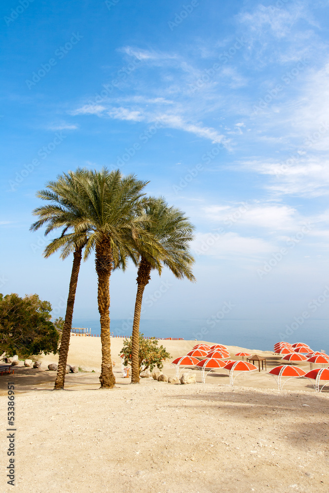 Fototapeta premium Ein Gedi oase - Israel