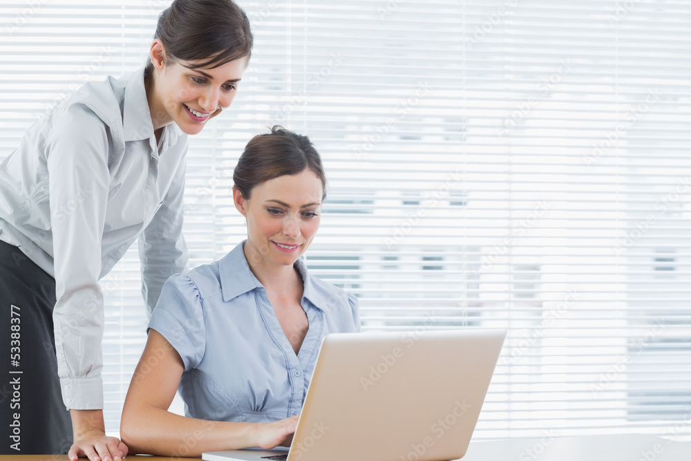 Businesswomen looking at a laptop Businesswomen looking at a laptop