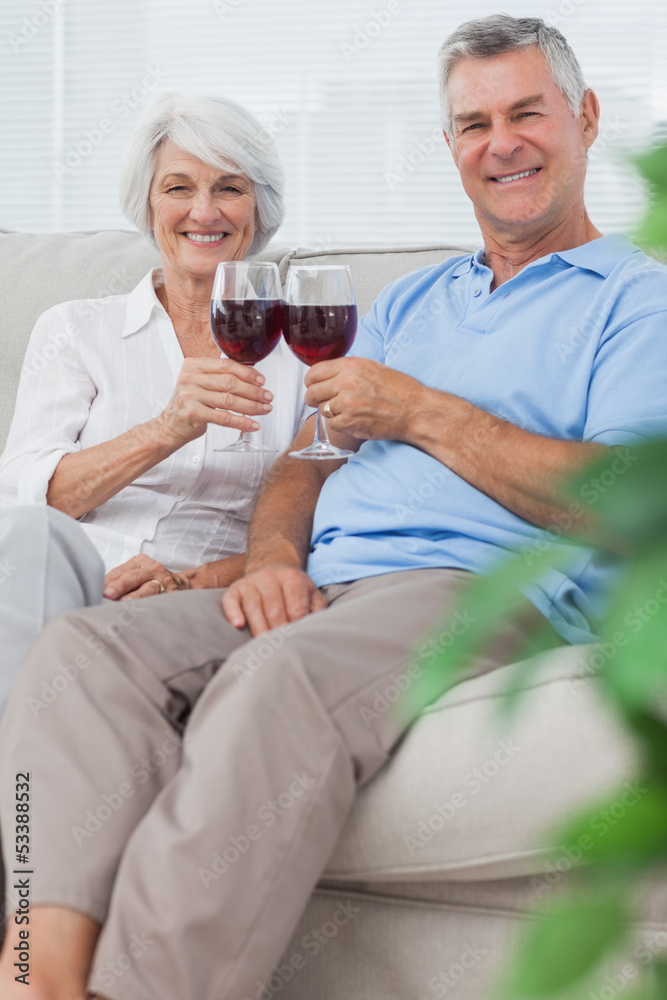 Husband and wife clinking their glasses of red wine Husband and wife clinking their glasses of red wine