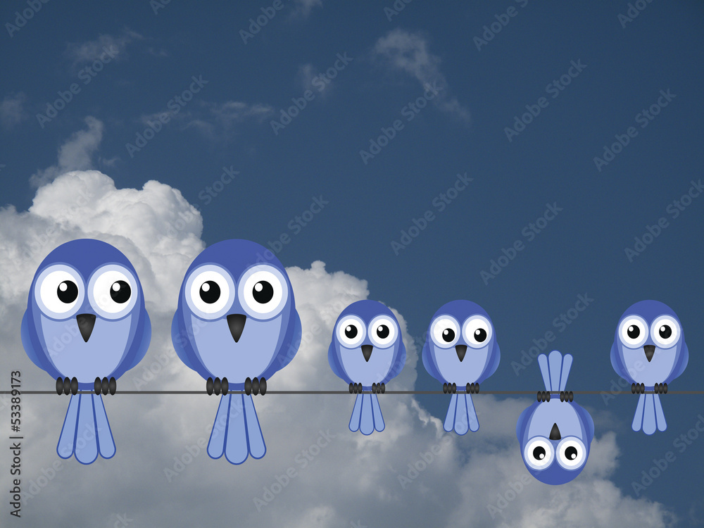 Obraz premium Large comical bird family