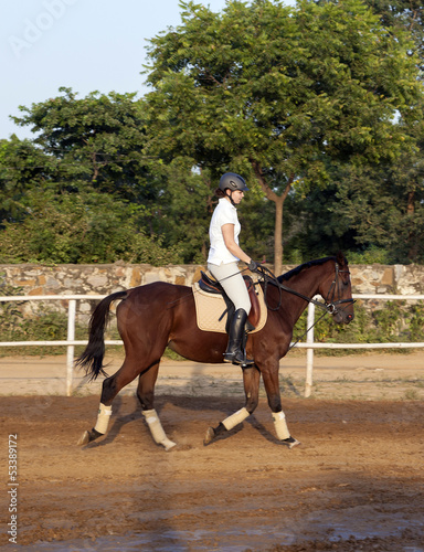 woman riding her horse in the parcour © travelview