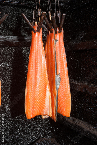 Smoking salmon in traditional British smokehouse