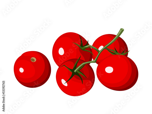 Cherry tomatoes. Vector illustration.