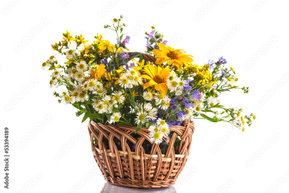 bouquet of summer flowers