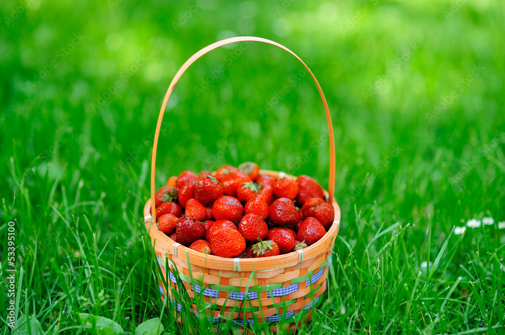 basket with strawberry on green grass basket with strawberry on green grass