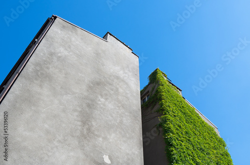 Old building overgrown with plants