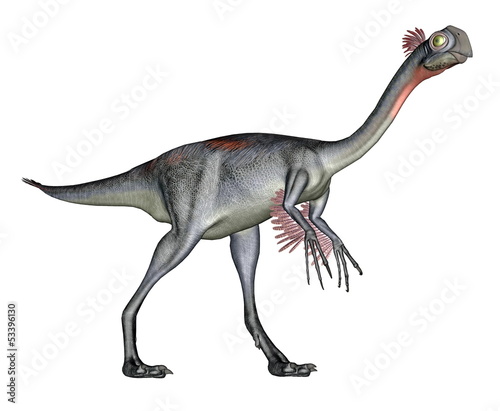 Gigantoraptor dinosaur © Elenarts