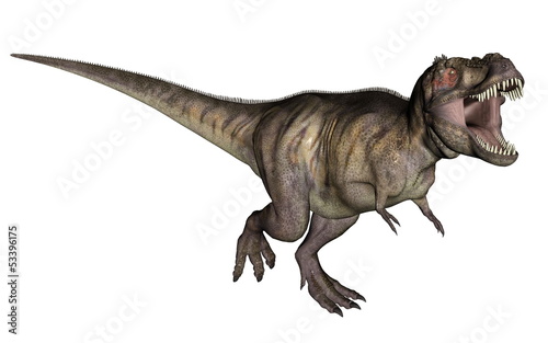 Tyrannosaurus dinosaur © Elenarts