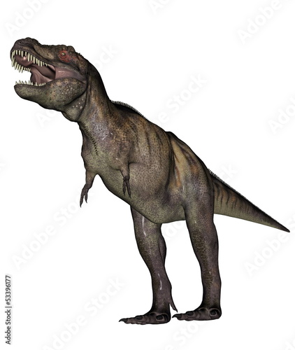 Tyrannosaurus dinosaur © Elenarts