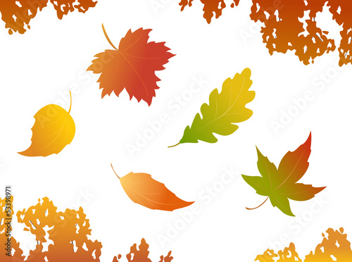 Autumn leaves