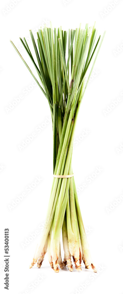 Lemon grass on white background Lemon grass on white background