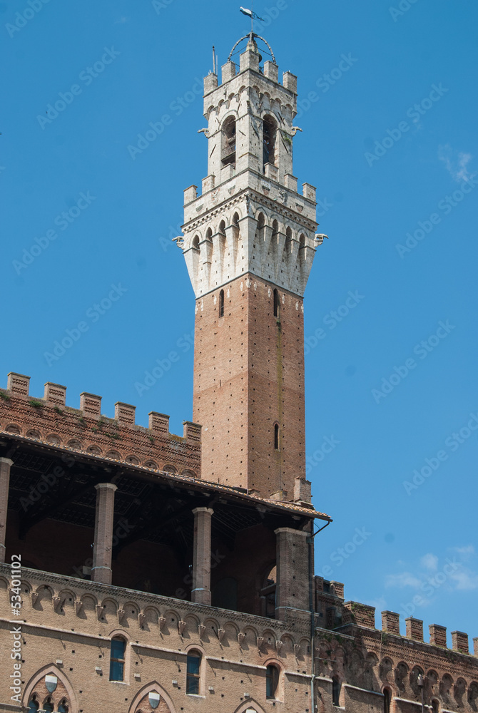 Mangia's Tower. Siena (Italy)