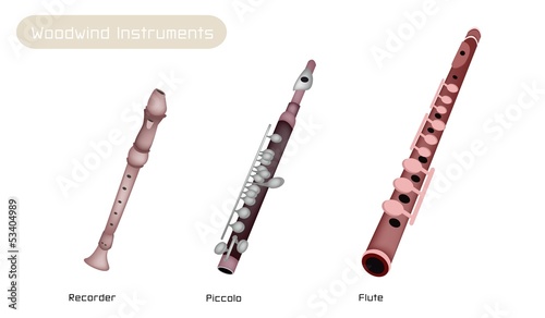 Three Woodwind Instrument Isolated on White Background