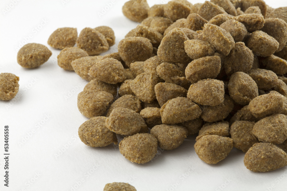 Cibo per Cani Cibo per Cani