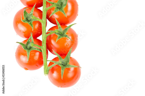 Cherry Tomatoes over white background