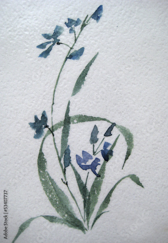 wild asian flower
