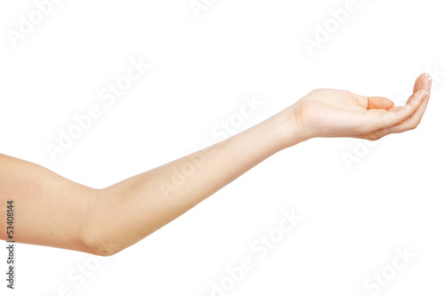 Female hand on white background photo