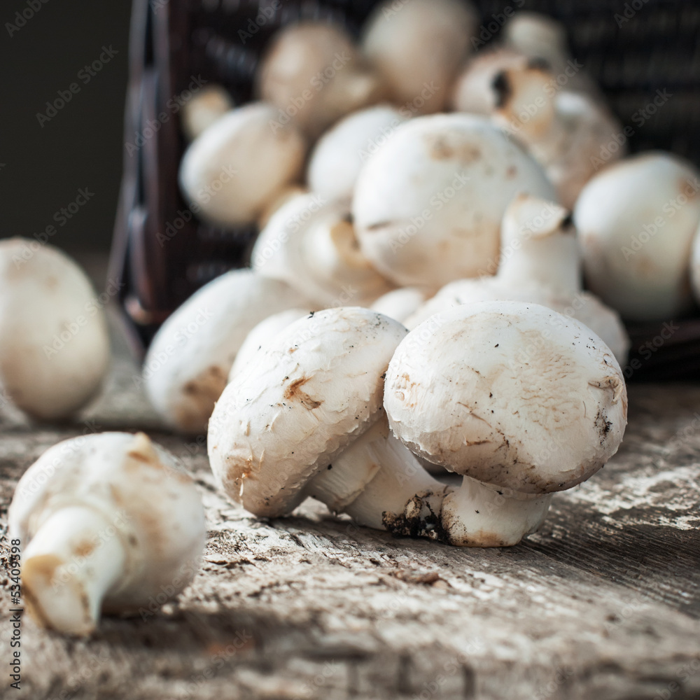 Fototapeta premium White Mushrooms Cepes on the wooden table