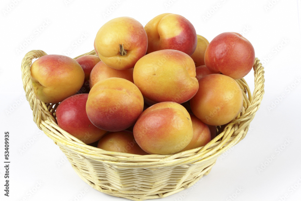 apricots in the basket on the white background apricots in the basket on the white background