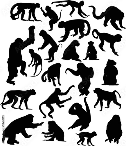 twenty two black isolated monkey silhouettes