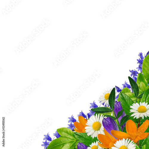Fototapeta Naklejka Na Ścianę i Meble -  Wildflowers bouquet