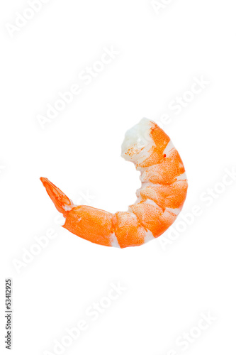 Shrimp
