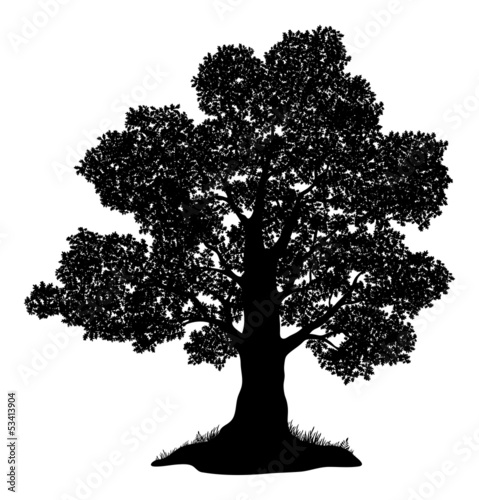 Oak tree and grass, silhouette