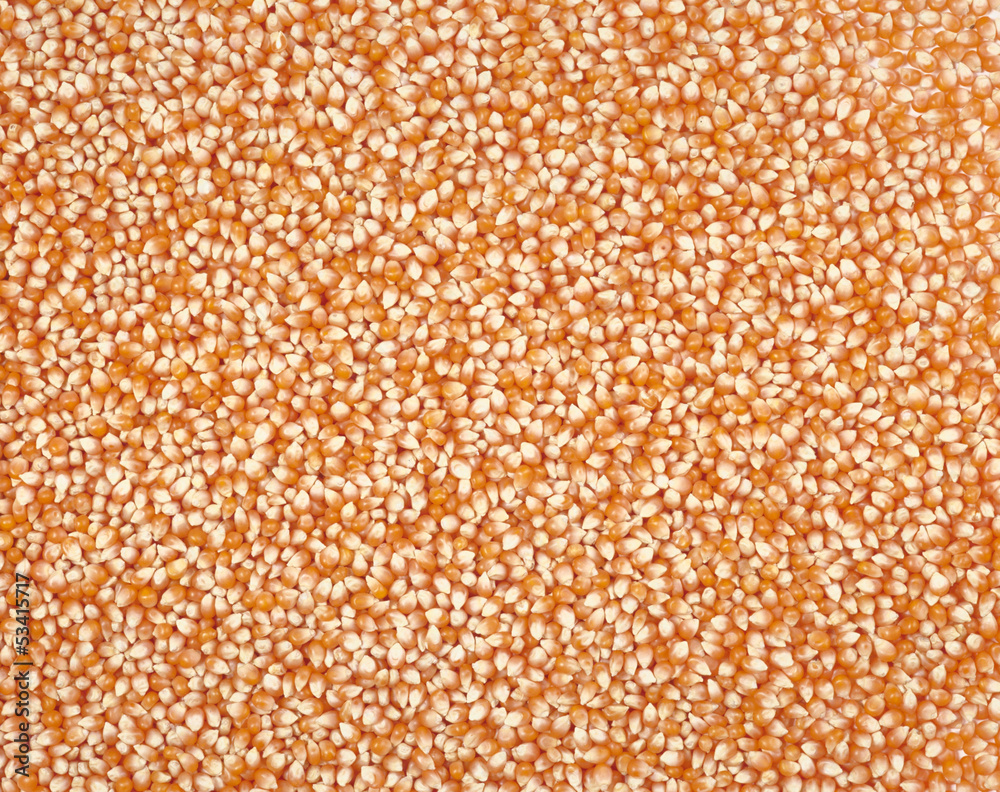 食品 食品