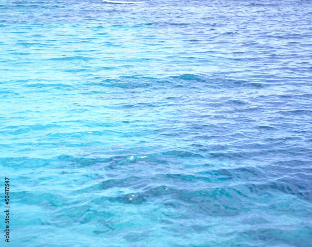 海 海