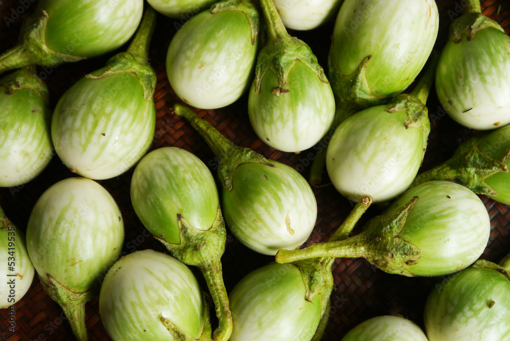 green eggplants in the threshing basket green eggplants in the threshing basket