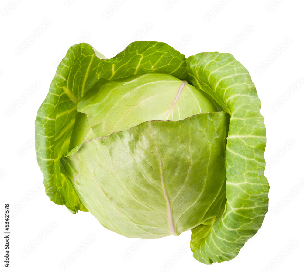 Fototapeta premium Green cabbage