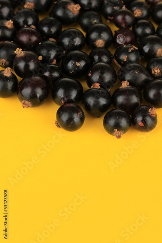 Blackcurrants on yellow background