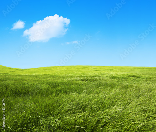 paisaje de campos de hierba verde.Fondo de naturaleza