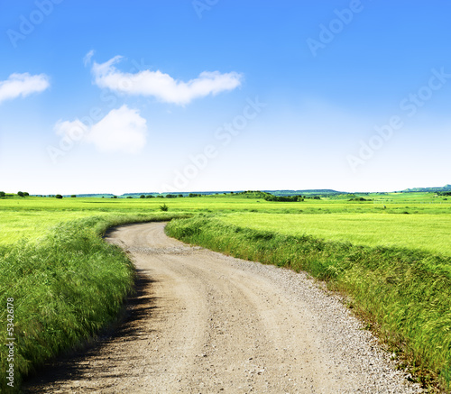 paisaje de campos verdes y camino