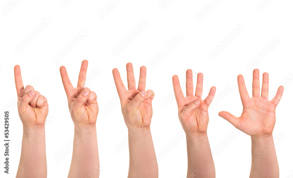 One to five fingers count hand gesture isolated One to five fingers count hand gesture isolated