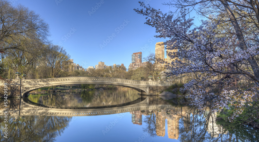 Obraz premium Central Park bow bridge spring