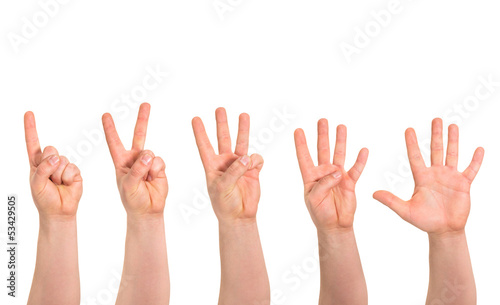 One to five fingers count hand gesture isolated