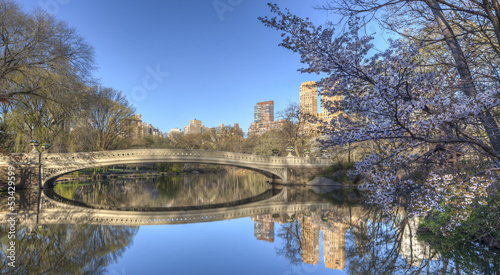 Central Park bow bridge spring