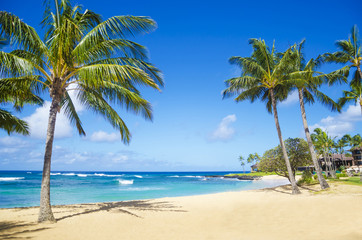 Sierkussen Strand en zee Hawaiiaans strand met palmbomen  © ellensmile