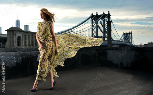 Fashion model posing sexy on rooftop with bridge on background photo