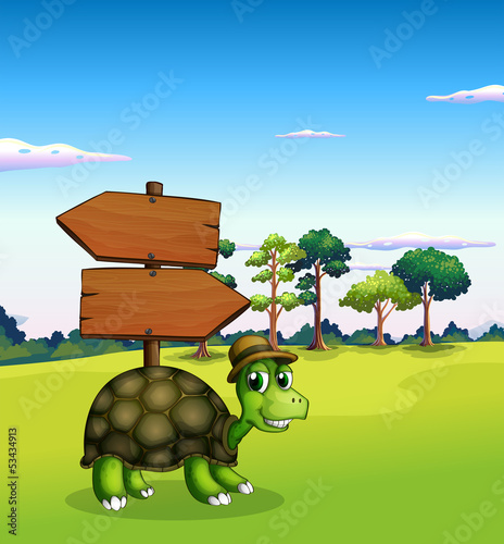 A turtle near the empty wooden arrow signboards