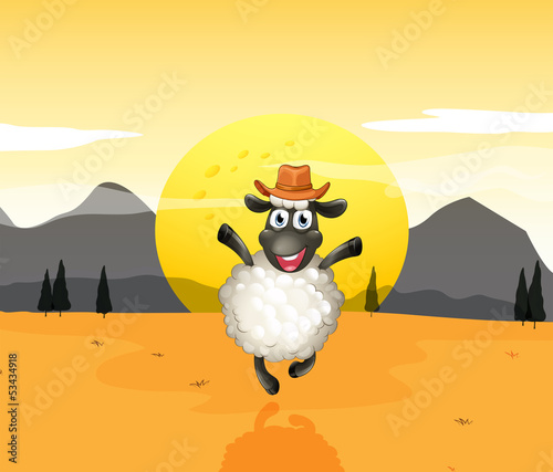A sheep in the middle of the desert