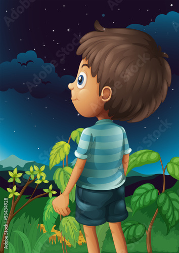 A boy gazing at the sky